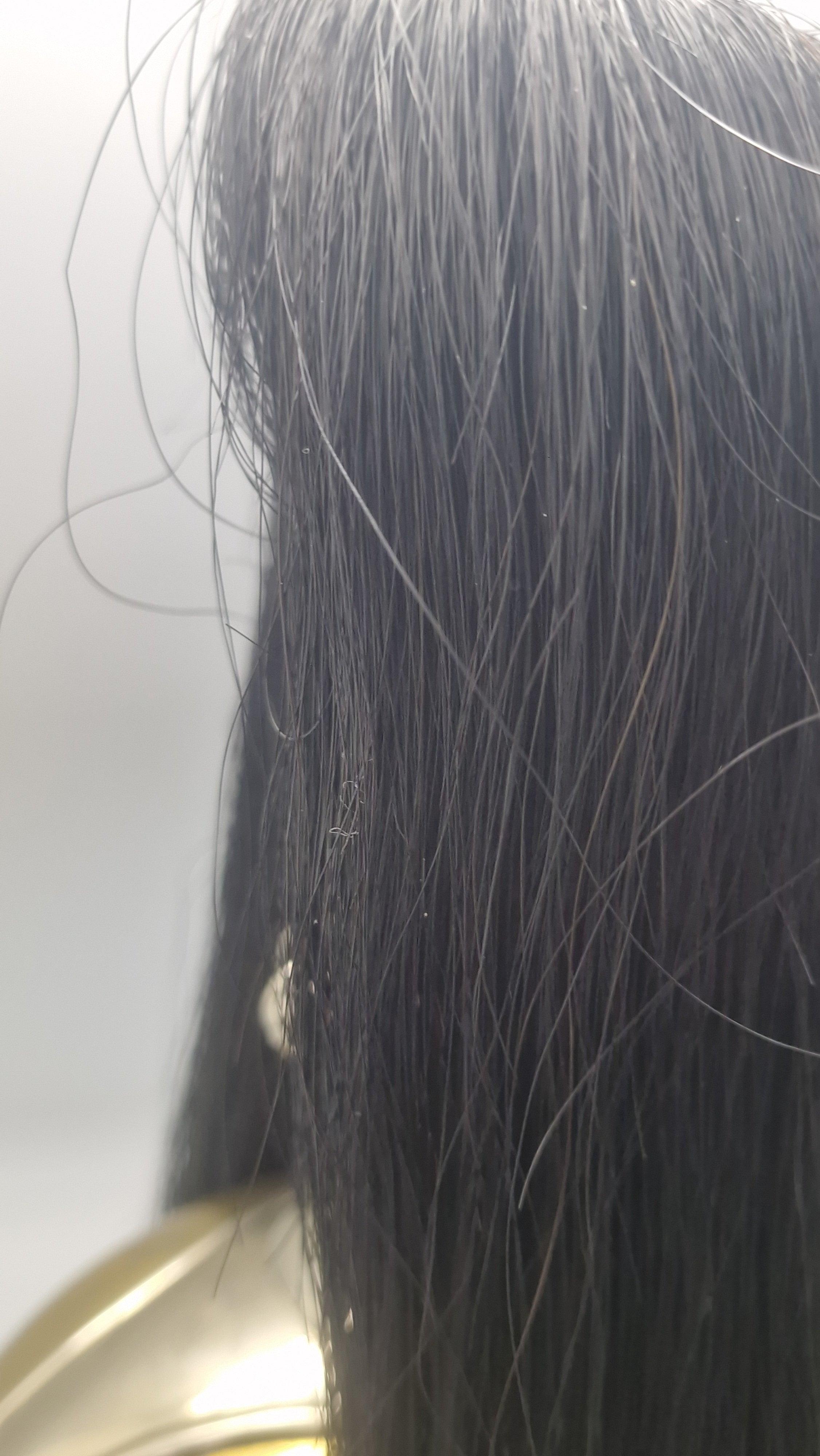 Original Ekstermt sjælden Hestegarde hjelm model 1853